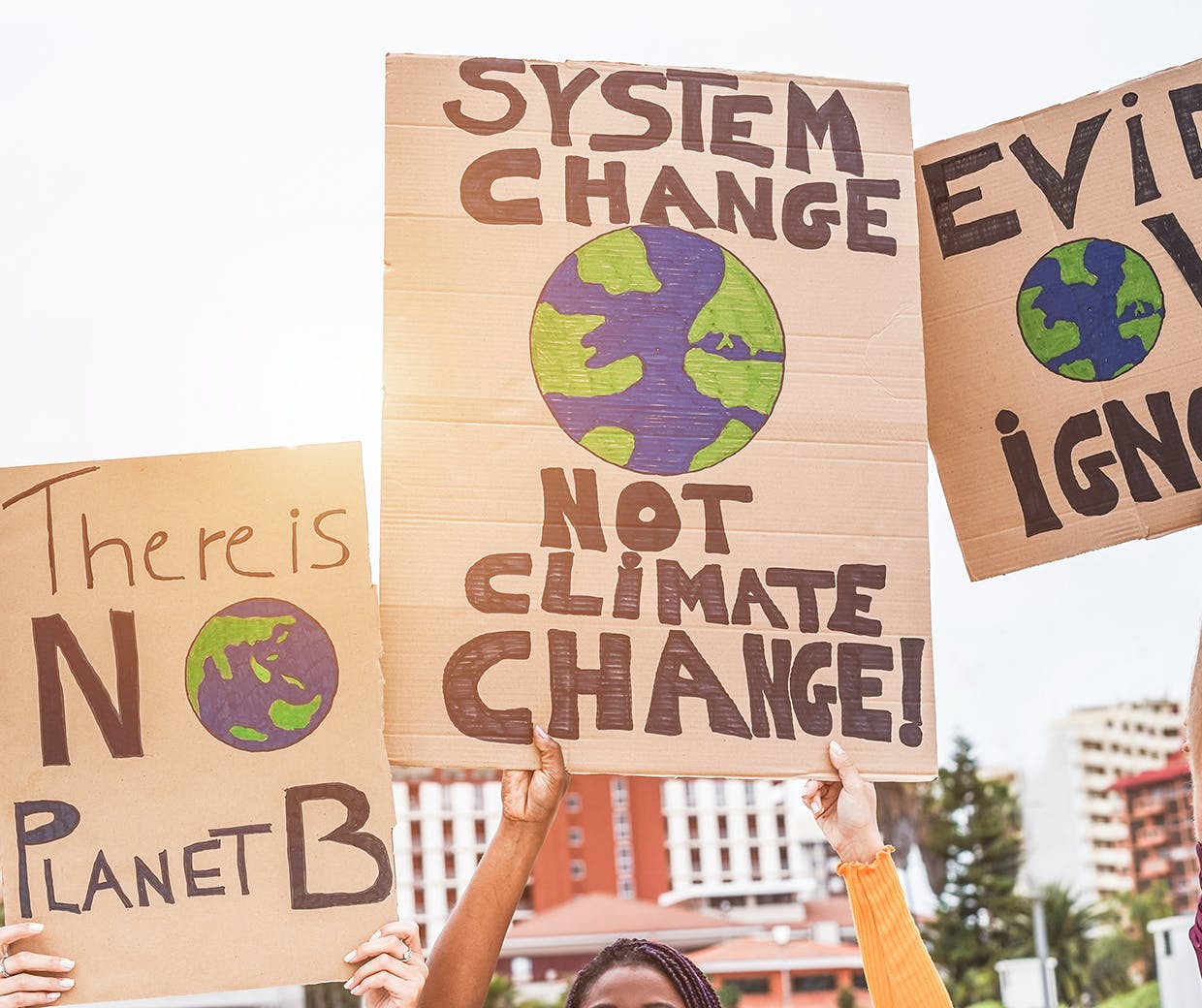 Activism-featured-image