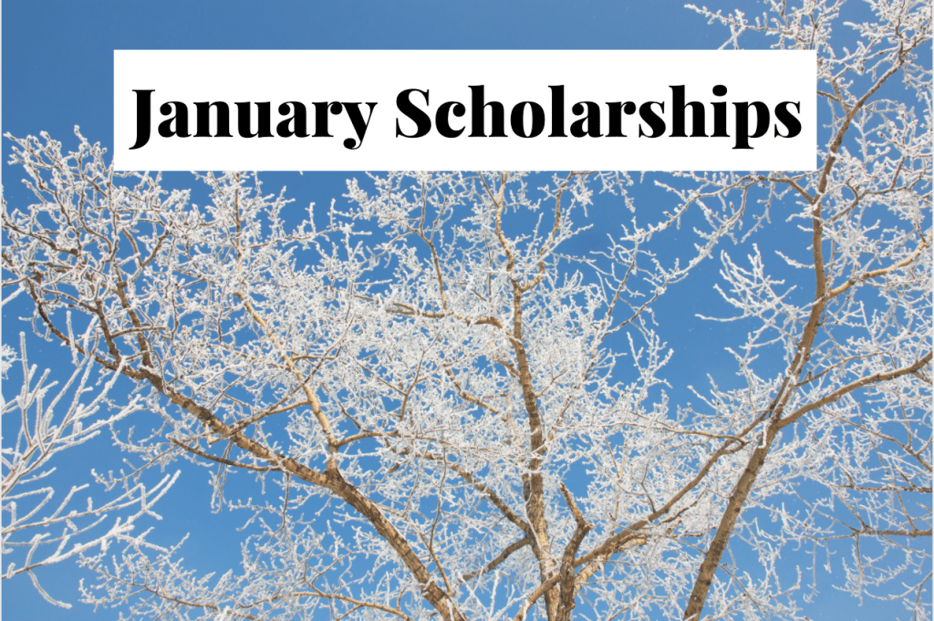 30+ Scholarships to Apply for in January 2027